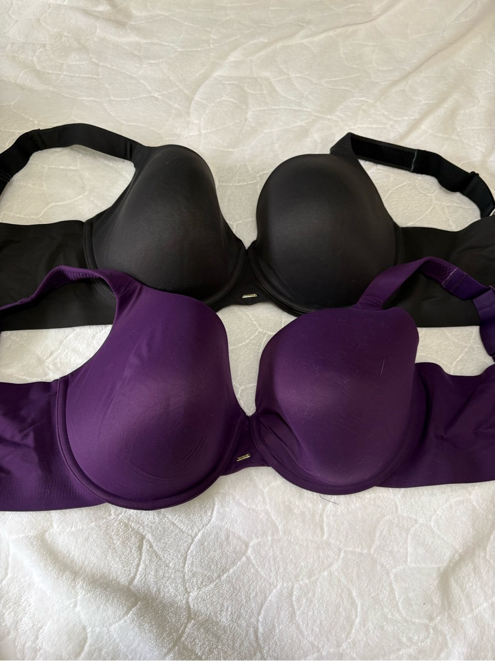 Cacique 2-Pack Smooth T-Shirt Bras - Black & Purple